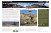 Mojave National Preserve Issue 13 / Fall 2008 08...Mojave National Preserve Issue 13 / Fall 2008 Welcome to Mojave! Cooler temperatures make fall and win-ter a wonderful time to visit