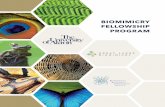 BIOMIMICRY FELLOWSHIP PROGRAM Fellowship Program Inf… · Administration, Engineering, and Polymer Science and Polymer Engineering. The organizational sponsor develops a recruiting