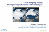 The Changing Arctic: Strategic Opportunities and Challenges€¦ · The Changing Arctic: Strategic Opportunities and Challenges Sherri Goodman Senior Vice President & General Counsel