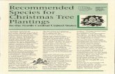 Recommended - College of Agriculture & Natural Resources · Recommended Species for Christmas Tree Plantings In the North Central United States Christmas trees are an the site where