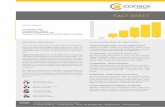 Fact Sheet ConSol GmbH · Process Management So˜ware ConSol CM Whether individual or standardized: With ConSol CMfounder and owner you can easily record, control and quickly resolve