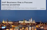 SAP Business One в России: вектор развития · © 2015 SAP SE or an SAP affiliate company. All rights reserved. Customer 3 SAP Business One сегодня Специализированное