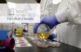 The Life of a Sample - NQAC) – Dublin · Overview This presentation will review the general pathway of a sample ... nqacdublincustomerservice@us.nestle.com. Microbiology Sample