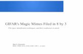 GIFAR's Magic Mimes Filed in 8 by 3 · Ben S. Knowles BBST, CISSP, GCIA, GCIH, GSEC, LPIC-1 , et cetera GIFAR's Magic Mimes Filed in 8 by 3 File types, identification techniques,