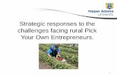 Strategic responses to the challenges facing rural …...Strategic responses to the challenges facing rural Pick Your Own Entrepreneurs. 1 Diversification •Definition: –Pick your
