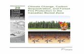 CHANGE Canadian Boreal Zone RESEARCH REPORTStocks, Brian J. Climate change, carbon sequestration, and forest fire protection in the Canadian boreal zone [electronic resource] (Climate