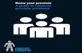 Know your prostate A guide to common prostate problems€¦ · The photos in this booklet are of people personally affected by ... penis. Specialist Nurses 0800 074 8383 prostatecancerukorg