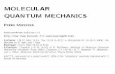 MOLECULAR QUANTUM MECHANICSmanninen/lectures.pdf · 2006-05-16 · importance throughout molecular quantum mechanics. Spin functions It is well-known that a single electron is not
