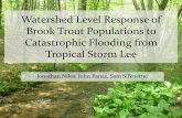 Watershed Level Response of Brook Trout Populations to ... · •Catastrophic flooding may remove year classes and reduce standing crops (Elwood and Waters 1969) •Population recovery