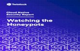 Watching the Honeypots - Twistlock...honeypot traffic, we found that most attacks were either trying to exploit known vulnerabilities or trying to access potentially open keynames.