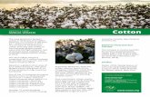 Cotton - ISAAA.org · biotech cotton in 2018 including Argentina, Myanmar, Australia, Sudan, Mexico, South Africa, Paraguay, Colombia, Costa Rica, and the Kingdom of eSwatini, the
