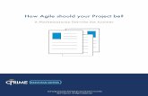 How Agile should your Project be? - Cprime 2017-11-03آ  agile project provides clear benefits for return-on-investment