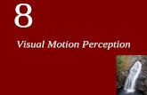 Visual Motion Perception - San Jose State University · Sensitivity to visual motion develops over time. Infants have some reflexive eye movements at birth. However, adult-like sensitivity