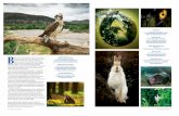 STI05Y1GG 024 FEAT Animals Spectrum - Amazon S3...2017/05/11  · The book British Wildlife Photography Awards: Collection 8, is published today (Ammonite £25). The exhibition of
