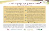 Climate-Smart Agriculture in Zimbabwe...the adoption of Climate-Smart Agriculture (CSA) as an agricultural adaptation and mitigation strategy is increasingly becoming important. •