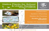 Native Plants for School & Urban Gardens · 2018-03-30 · The book, Southern California Native Plants for School & Urban Gardens and the author, Betsey Landis, should be cited as