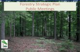 Forestry Strategic Plan Public Meetings · 2020-02-15 · Division of Forestry • State Forest Section • Nursery Section • Cooperative Forest Management Section • Special Programs