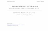Commonwealth of Virginia - vita.virginia.gov - VITA€¦ · 15/01/2010  · Platform Domain Report Version 3.0 1-15-2010 Commonwealth of Virginia Enterprise Technical Architecture