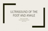 Ultrasound of the Foot and Ankle - Towson Sports Medicine · ULTRASOUND OF THE FOOT AND ANKLE Tiffany Tsay, MD, RMSK Towson Orthopaedic Associates May 3, 2019