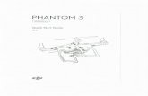  · Advanced Quick Start Guide, Phantom 3 Safety Guidelines and Disclaimer, Phantom 3 Intelligent Flight Battery Safety Guidelines, In the Box. 1. Download the DJI GO App Search 'DJI