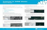Tutorial 2 S Gloe - NSW Globeglobe.six.nsw.gov.au/support/tutorial2.pdf · Tutorial 2 S Gloe Next Steps 3 | Tutorial 2: NSW Globe - Next Steps Creating a Fly-Over The ‘Record a