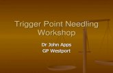 Trigger Point Needling Workshop - GP CME CME/Friday/Wellington 1100 Apps.pdfTrigger points Areas of damaged muscle that radiate pain. Check trigger point charts for typical patterns.