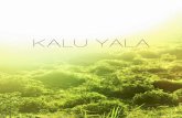 Kalu Yala is] a sustainable jungle frontieragrilifecdn.tamu.edu/rptsjobs/files/2011/07/KalaYu... · “[Kalu Yala is] a sustainable jungle frontier settlement for entrepreneurs and