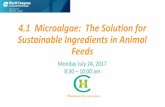 4.1 Microalgae: The Solution for Sustainable Ingredients ... · Markets •Existing markets: •Sled dogs –0.5 ton annually •Chickens –1 ton annually •Ornamental fish –2