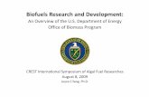 Biofuels Research and Development - 筑波大学 · 03.08.2009  · 2022 Ad anced Biof els Act (EISA) of 2007 EPAct 2012 Advanced Biofuels (include cellulosic biofuels other than