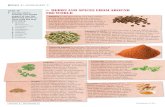 warm up HERBS AND SPICES FROM AROUND 1 THE WORLD · HERBS AND SPICES FROM AROUND THE WORLD Dossier 3 - Worksheet 3 Dossier 3 | WORKSHEET 3 Allspice is the hard berry of a tree native