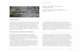 Water Quality and Forest Management - British Columbia · Water Quality and Forest Management Chapter 2 Robin G. Pike, Michael C. Feller, John D. Stednick, Kevin J. Rieberger, and