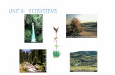 UNIT III ECOSYSTEMS - Mr. Moriarty's Course SiteUnit 03 Ecosystems •In this lesson you will: •3.1.1 Define Ecosystem •3.1.2 Differentiate the terms food web & food chain. P.