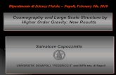Cosmography and Large Scale Structure by Higher Order Gravity: …people.na.infn.it/~semgr4/doc/100205.pdf · Cosmography and Large Scale Structure by Higher Order Gravity: New Results