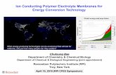 Ion Conducting Polymer Electrolyte Membranes for Energy ... Bae.pdf · Ion Conducting Polymer Electrolyte Membranes for Energy Conversion Technology Chulsung Bae ... Sungmin Park