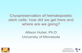 Cryopreservation of hematopoietic stem cells: how did we ...pactgroup.net/system/files/07workshop_12_hubel.pdf · cryopreservation Cryopreservation is typically used for – Umbilical
