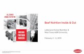 Beef Nutrition Inside & Out...Beef Nutrition Inside & Out Lallemand Animal Nutrition & West Texas A&M University February 4 – 6, 2019 ADVANCING RUMINANT NUTRITION BY INNOVATION AND
