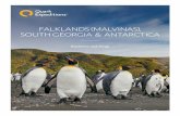 FALKLANDS (MALVINAS), SOUTH GEORGIA & ANTARCTICA · The Falklands (Malvinas), South Georgia and Antarctica itinerary is the fastest way to get to the rarely visited Falklands South