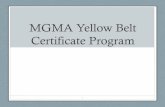 MGMA Yellow Belt Certificate Program€¦ · Culture of Transition • Use symbols which can help remind you of a change in the way things are done or in an attitude. Toyota uses
