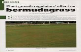 Plant growth regulators' effect on bermudagrasssturf.lib.msu.edu/article/2007apr8a.pdf · Plant growth regulators' effect on bermudagrass ByF.W.Totten and L.B.McCarty •j ermudagrass