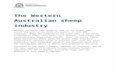The sheep production system - Agriculture and … W… · Web viewThe WA sheep flock was estimated to be 14 million sheep and lambs in July 2015. This included 7.5 million breeding