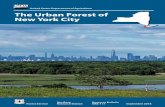 The urban forest of New York City - US Forest Service · The Urban Forest of New York City. The Authors. DAVID J. NOWAK is a senior scientist and i-Tree team leader with the U.S.