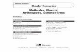 Chapter 13: Mollusks, Worms, Arthropods, Echinoderms...Mollusks, Worms, Arthropods, Echinoderms 7 Name Date Class Lab Preview Directions: Answer these questions before you begin the