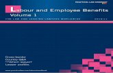 Labour and Employee Benefits - Nishith Desai …...PLCCross-border Labour and Employee Benefits Handbook 2010/11 Volume 1 and is reproduced with the permission of the publisher, Practical