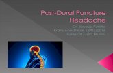 Post-Dural Puncture Headache - anesthesie-sj.be€¦ · Dietzel J., Acupuncture for treatment of therapy-resistant post-dural puncture headache: a retrospective case series, Br J