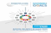 MAPPING THE IMPACT OF ILLICIT TRADE ON THE SUSTAINABLE ... · include: agri-foods, agro-chemicals and pesticides, alcohol, counterfeit and pirated goods, forestry, IUU fishing, petroleum,