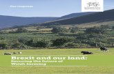 Brexit and our land - our response - GOV.WALES · 2019-05-24 · Brexit and our land: Securing the future of Welsh farming | 3 Brexit and our Land: our response Summary In July last