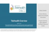 Telehealth Overview · Telehealth Overview April 8, 2020 Please be advised that UMTRC only provides guidance on billing issues based on experience, anecdotal information we have heard