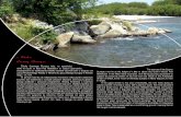 1. Rzeka Czarny Dunajeczsgnr2krakow.pl/wp-content/uploads/dokumenty/lowiska.pdf · The Białka is a river with exceptional aesthetic qualities. Through its almost entire length, it
