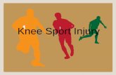 Knee Sport Injury injury.pdf · Treatment of knee injuries Self help “PRICE” Protection-Protect your injury from further harm. Rest-Rest the injury for the first two to three