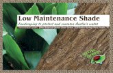 Low Maintenance Shade - Austin, Texas · landscape such as stone with-out mortar, mulch or pervious concrete • Use rainbarrels to capture and reuse rainwater Earth-Wise Gardening